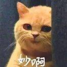 ZJ君101580的个人资料头像