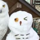 Air在掘金101604的个人资料头像