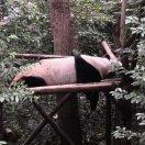 68天天好心情的个人资料头像