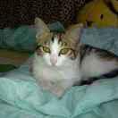 andydang的个人资料头像