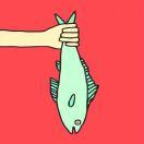 鱼自必的个人资料头像