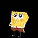 陌上人如玉本尊的个人资料头像