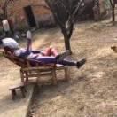 chiveseed的个人资料头像