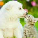 信仰重名了的个人资料头像