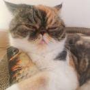 王小蛋的个人资料头像