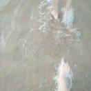 Happy_Jay的个人资料头像