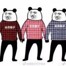 不想说话的个人资料头像