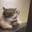 Aaronhuang的个人资料头像