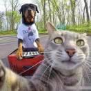 Caylee的个人资料头像