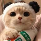 路遥爱学习102042的个人资料头像