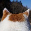 梁源的个人资料头像