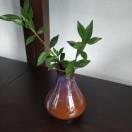 shary102104的个人资料头像