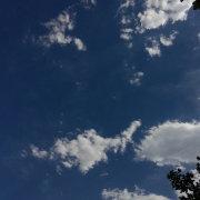 Calm2049的个人资料头像