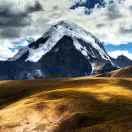 波本尊102219的个人资料头像