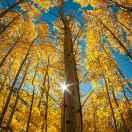 徐玲萍的个人资料头像