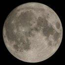 northern102283的个人资料头像