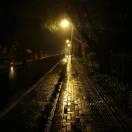 阳光天堂的个人资料头像