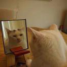 6小新的个人资料头像