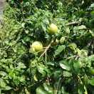 无缘就是我的个人资料头像