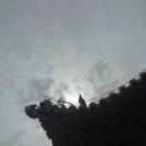 异乡人本尊的个人资料头像