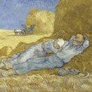 雅秀柒木的个人资料头像