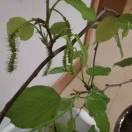 来海燕重名了的个人资料头像