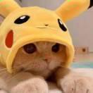 故旧往事的个人资料头像