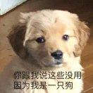 雨夜带刀不带伞的个人资料头像