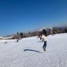 _David的个人资料头像