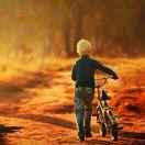 sayyes的个人资料头像