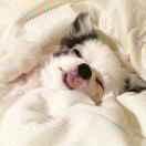 Imveryignorant的个人资料头像