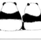 半分醉MELODY的个人资料头像