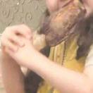 Her0cheN的个人资料头像