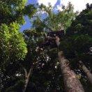 马傲彬Vinson的个人资料头像