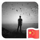 柴大大的个人资料头像