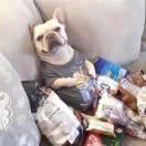 林senpao的个人资料头像