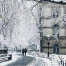 万千星河的个人资料头像