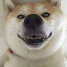 ZhanSaMa重名了的个人资料头像