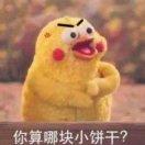 小饼干就是我的个人资料头像