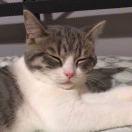 d酱103036的个人资料头像