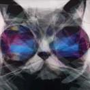 mckk的个人资料头像