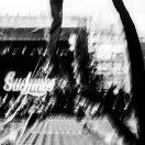 闭嘴爱学习的个人资料头像