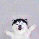 MAY的个人资料头像