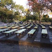 精神境界不断提高的个人资料头像