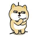 Cc不想说话103448的个人资料头像