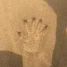 某某某的个人资料头像