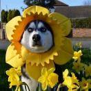 土豆土豆的个人资料头像