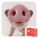 磨磨的个人资料头像