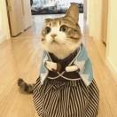 焉非魚的个人资料头像