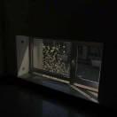 唐酱103604的个人资料头像